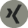Xing Icon